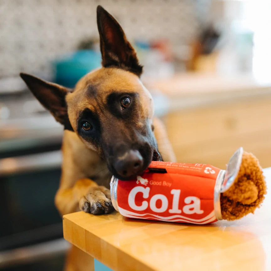 La Canette de Cola