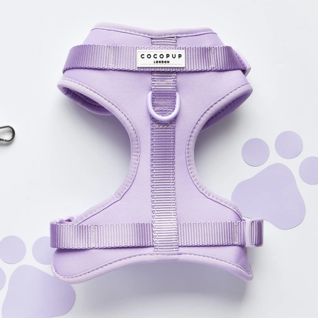 Harnais NAKD violet- Cocopup London