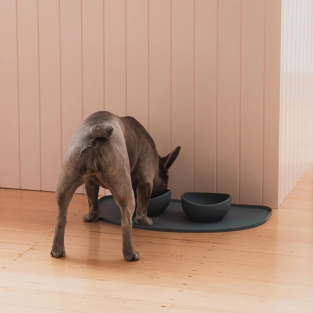 Gamelle anthracite en silicone - Fuzzy Yard