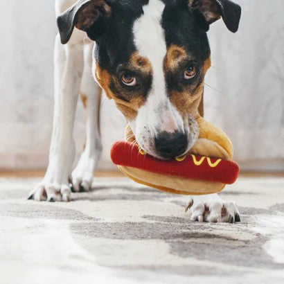 Le Hot Dog