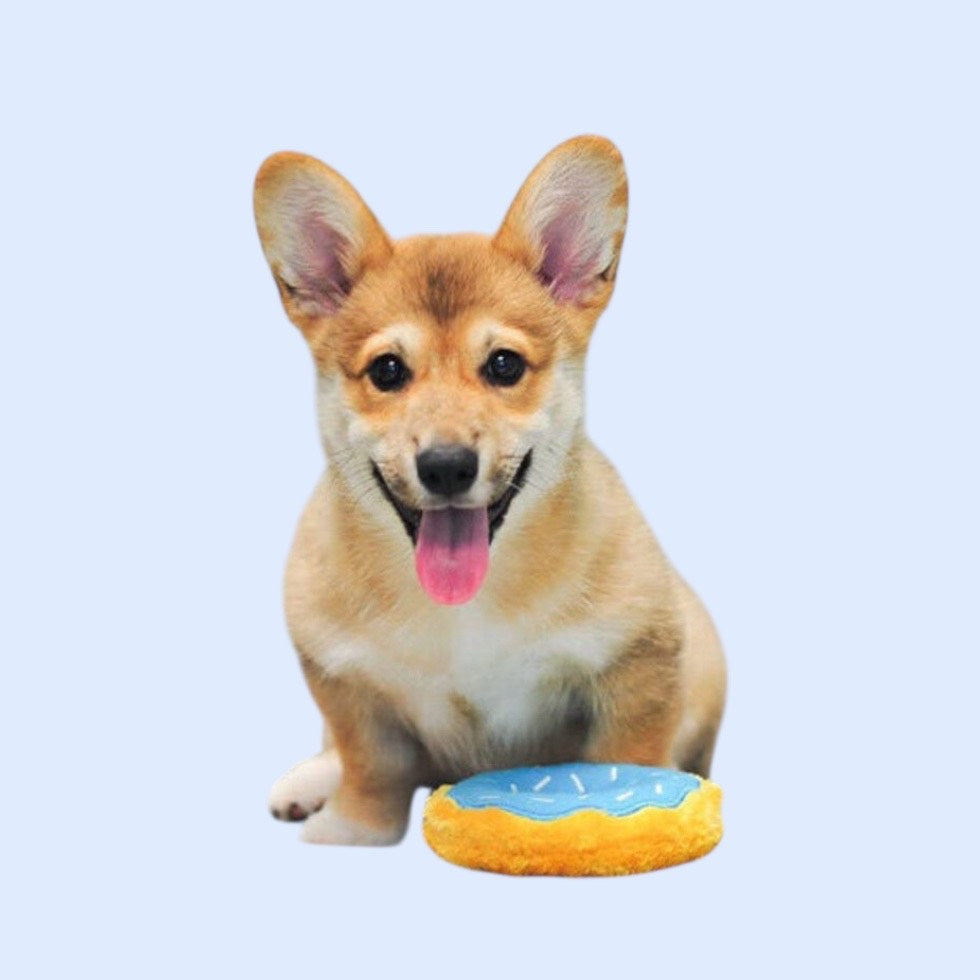 Le donut myrtille
