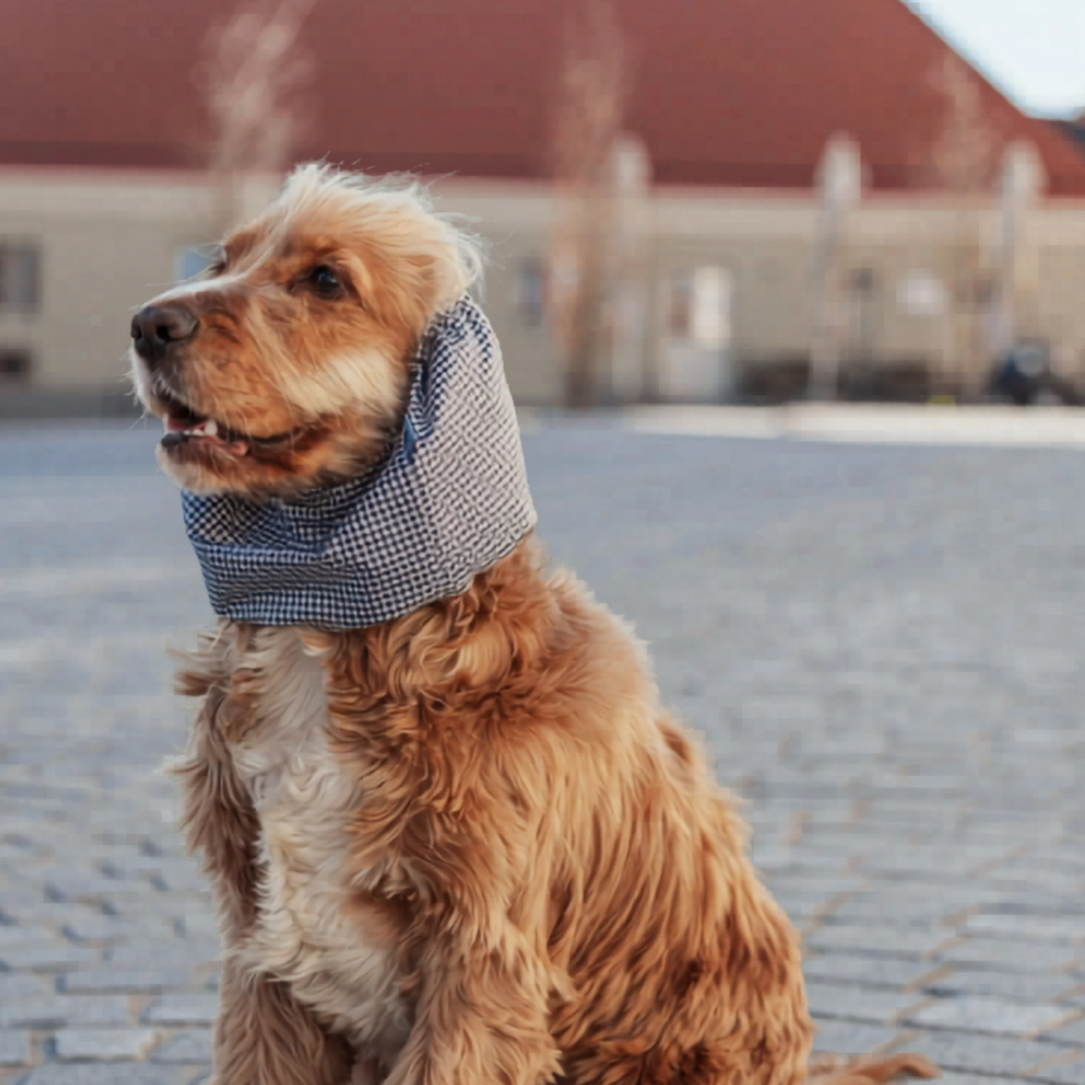 Snood waterproof vichy bleu marine et blanc - Lou and Co