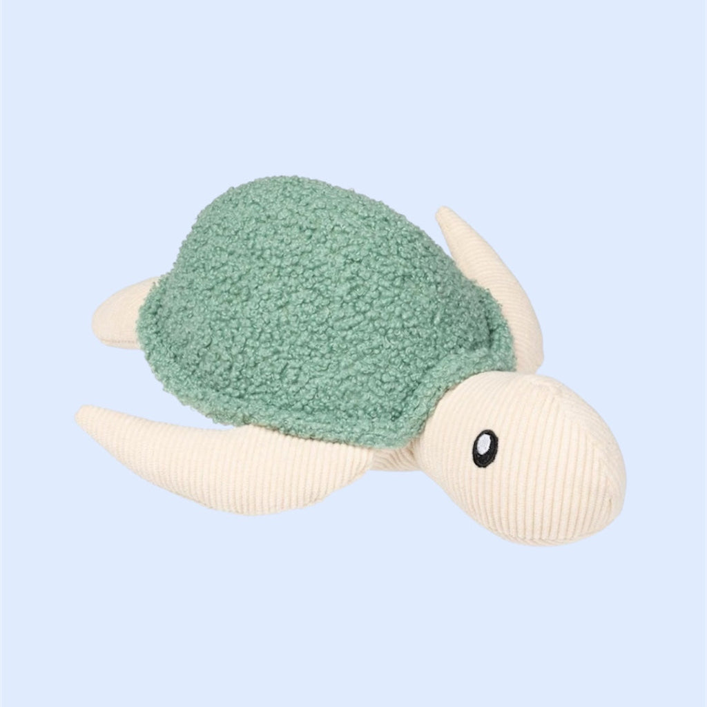 La tortue