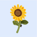 Tournesol - P.L.A.Y