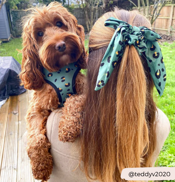 Harnais léopard olive - Cocopup London – Image 3