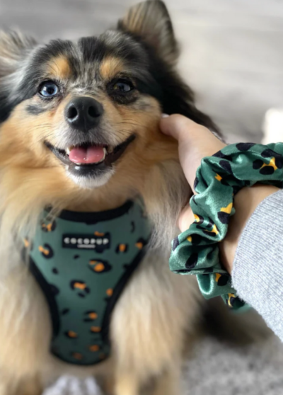 Harnais léopard olive – Cocopup London