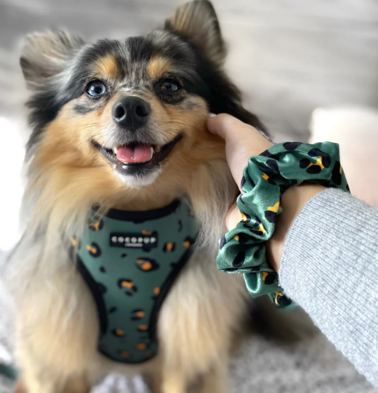 Harnais léopard olive - Cocopup London