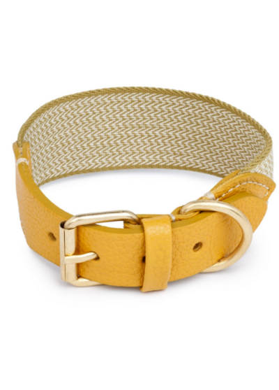 Collier pour chien James – Buddy’s