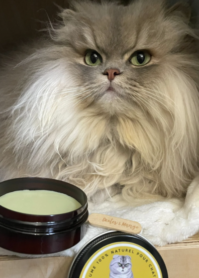 Baume du chaman – Dexter et mango