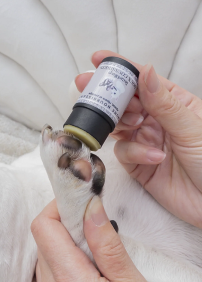 Stick doux coussinets – Dexter et Mango