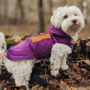 Imperméable Anorak – Woof and Wiggle