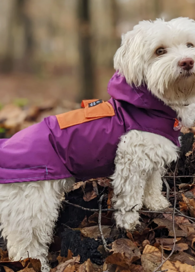 Imperméable Anorak – Woof and Wiggle