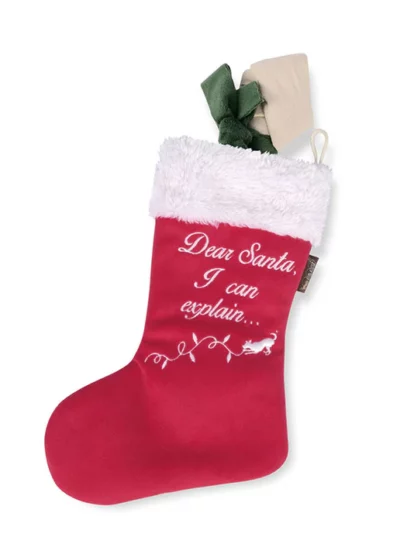 Chaussette de Noël – P.L.A.Y