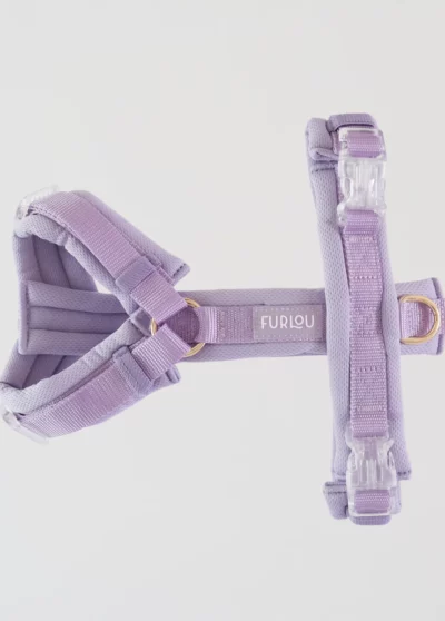 Harnais confort – violet- FURLOU