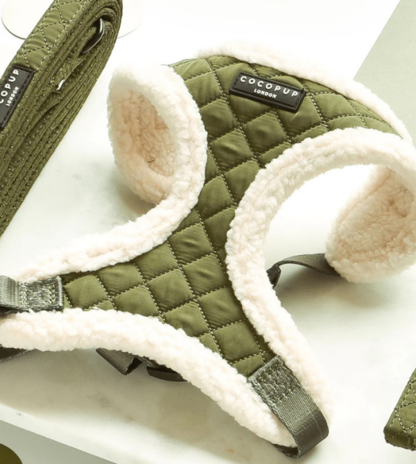 Harnais Kaki sherpa pour Chien - Cocopup London