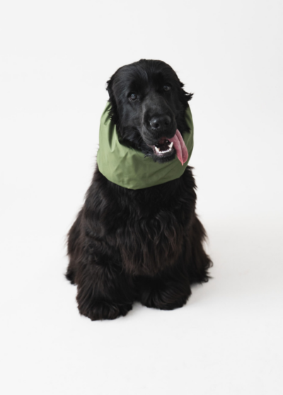 Snood imperméable pour chien Kaki – Lou and Co