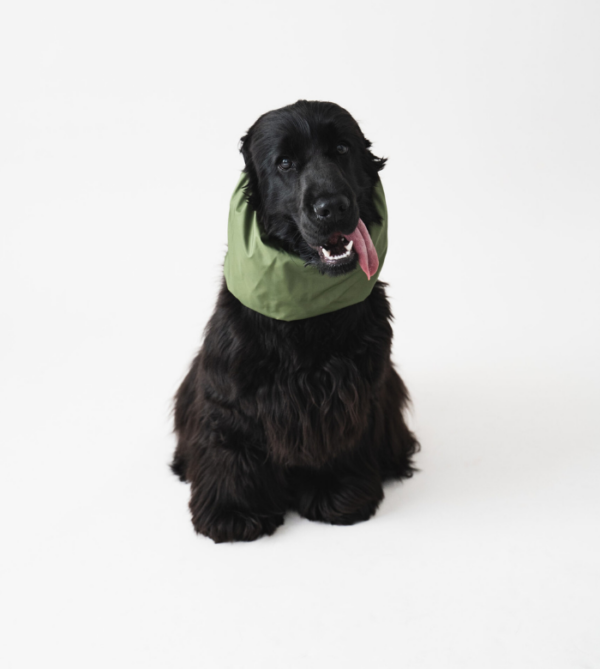 Snood imperméable pour chien Kaki - Lou and Co