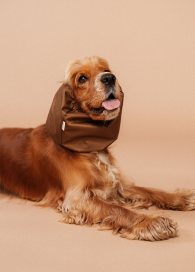 Snood imperméable pour chien marron- Lou and Co