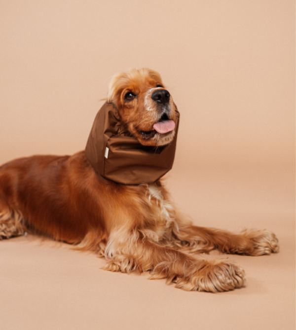 Snood imperméable pour chien marron- Lou and Co