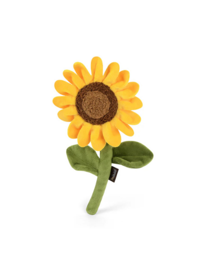 Tournesol – P.L.A.Y