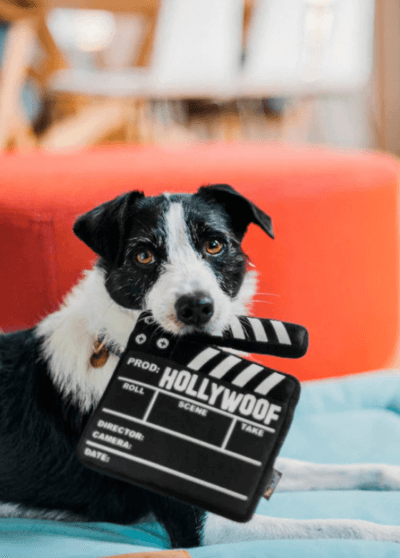 Hollywoof Cinema – PLAY