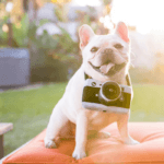 Appareil photo - PLAY – Image 2