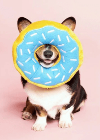 Jumbo Donutz Rose – Zippy Paws