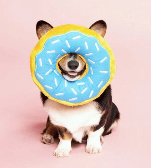 Jumbo Donutz Rose - Zippy Paws – Image 2