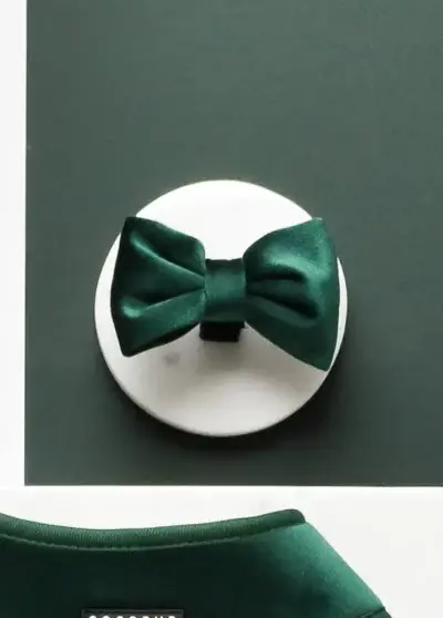 Nœud papillon velours vert forêt – COCOPUP London