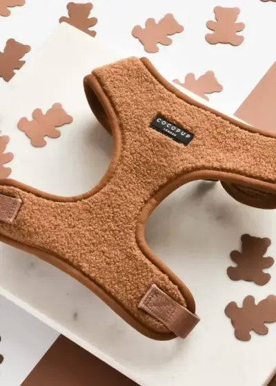 Harnais teddy – COCOPUP London