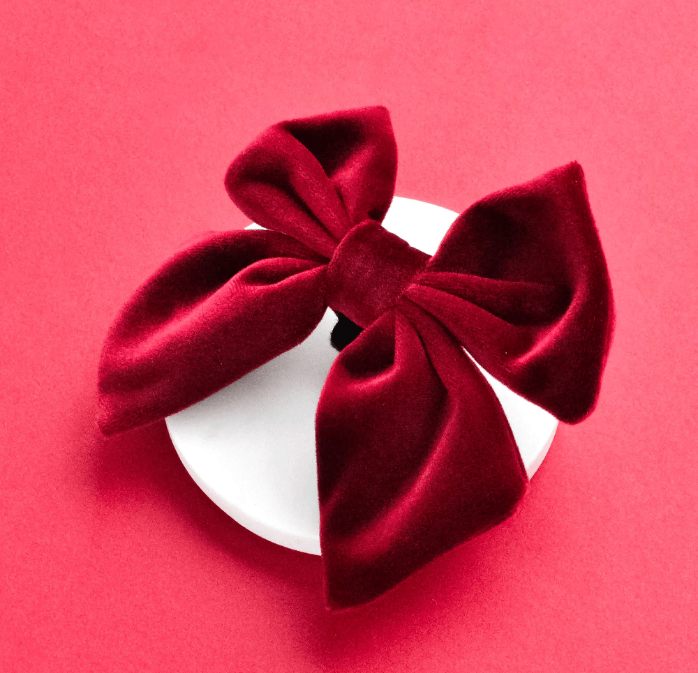 Nœud papillon Velours Sailor - COCOPUP London