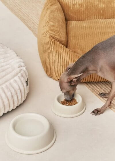 Gamelle en céramique – CAFIDE