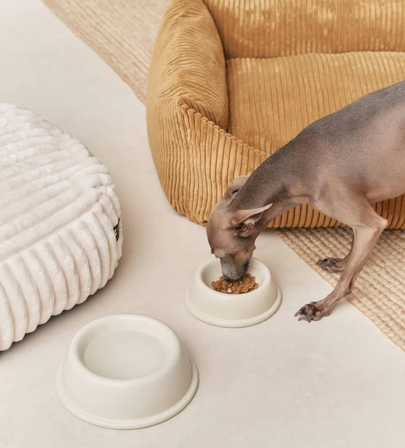 Gamelle en céramique - CAFIDE