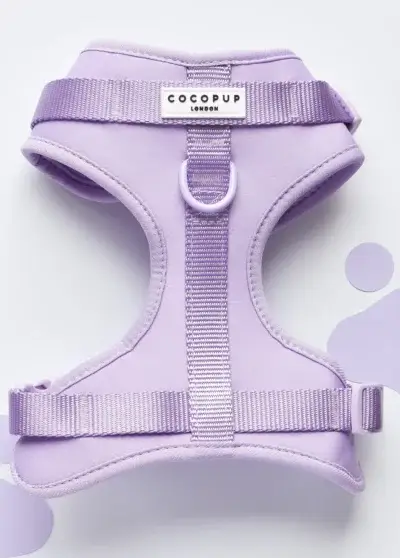 Harnais NAKD violet- Cocopup London