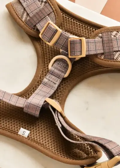 Harnais Pup Plaid- Cocopup London