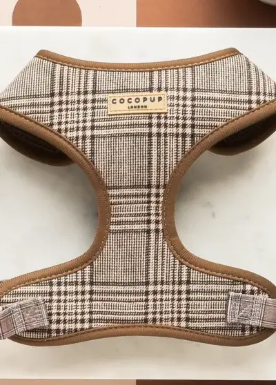 Harnais Pup Plaid- Cocopup London